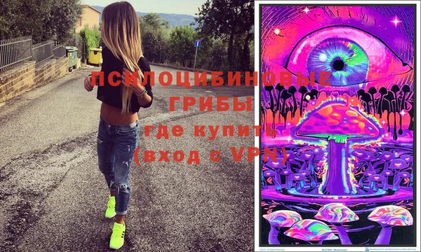 трава Аркадак